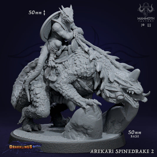 Arekari Spinedrake - Kobold Riders