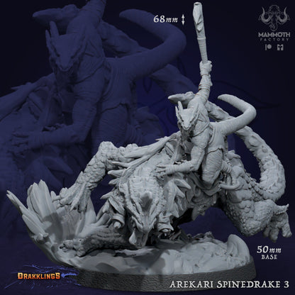 Arekari Spinedrake - Kobold Riders