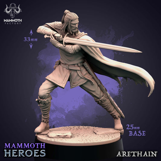 Arethain - Fighter Paladin Cleric Hero Player