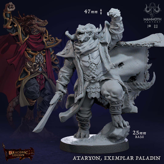 Ataryon, Exemplar Paladin - Dragonborn
