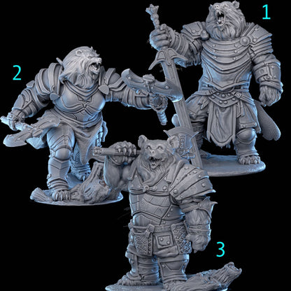 Bear Knight Family