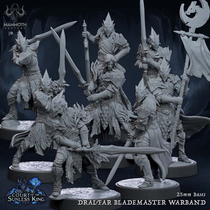 Dralfar Blademaster - Great Weapon Master Paladin Knight Warband