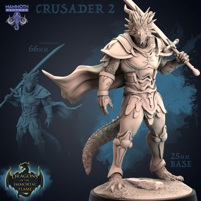 Dragons of the Immortal Flames Collection