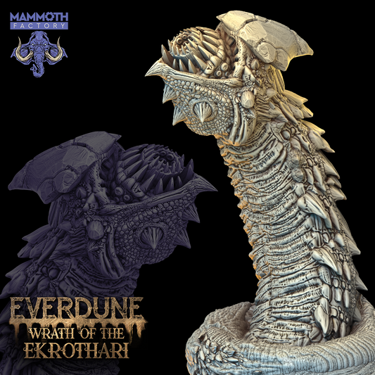 Everdune Collection