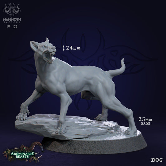 Animal - Dog