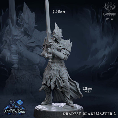 Dralfar Blademaster - Great Weapon Master Paladin Knight Warband