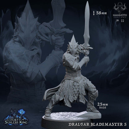 Dralfar Blademaster - Great Weapon Master Paladin Knight Warband