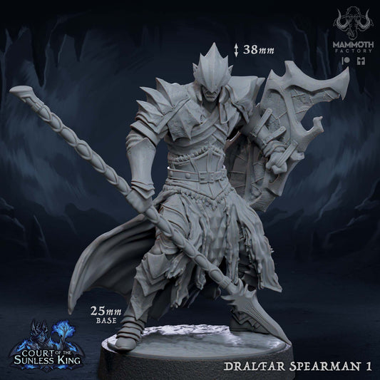 Dralfar Spearman - Paladin Knight Warband