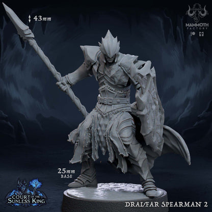 Dralfar Spearman - Paladin Knight Warband