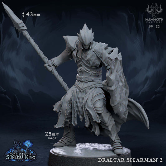 Dralfar Spearman - Paladin Knight Warband