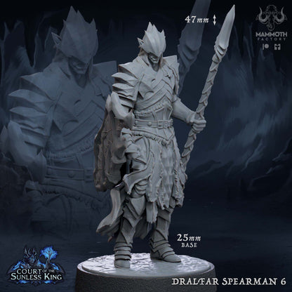 Dralfar Spearman - Paladin Knight Warband