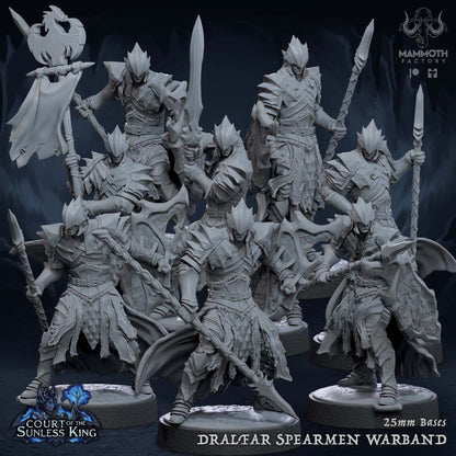 Dralfar Spearman - Paladin Knight Warband