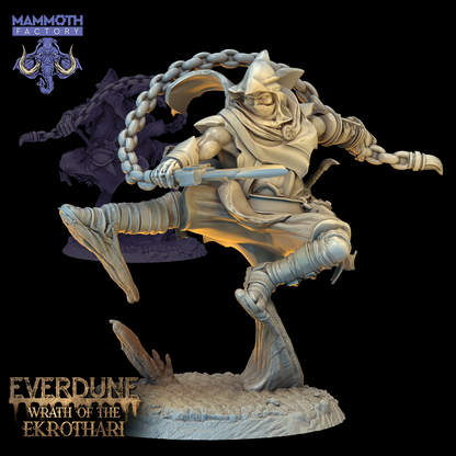 Everdune Collection