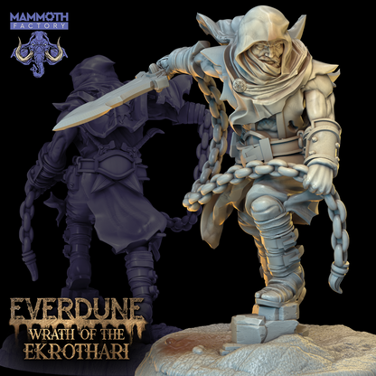 Everdune Collection