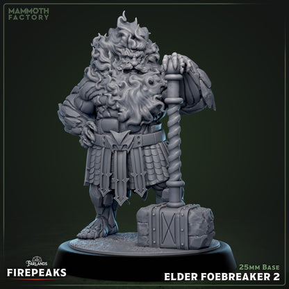 Elder Foebreaker Dwarf