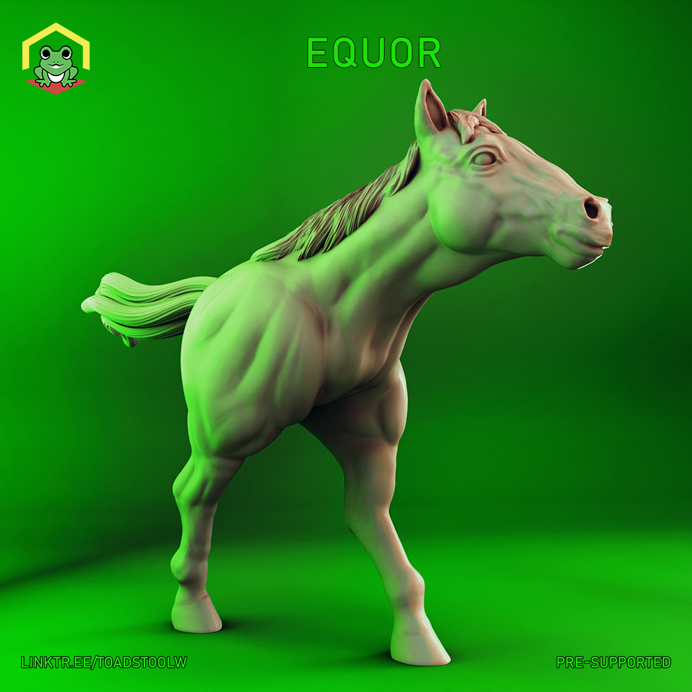 Equor