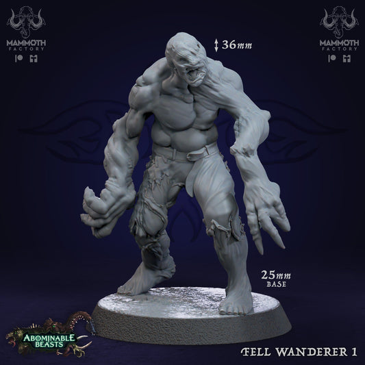 Fell Wanderer Zombies