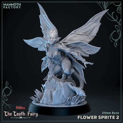The Tooth-Fairy Collection
