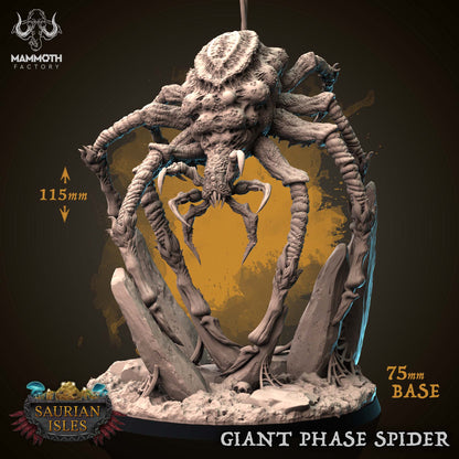 Phase Spider Bundle