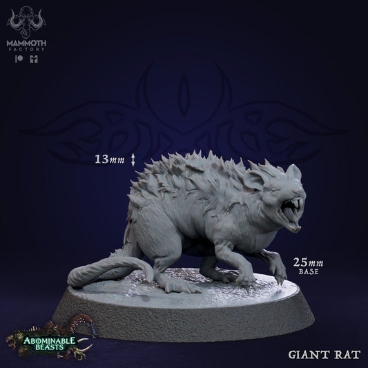Animal - Giant Rat