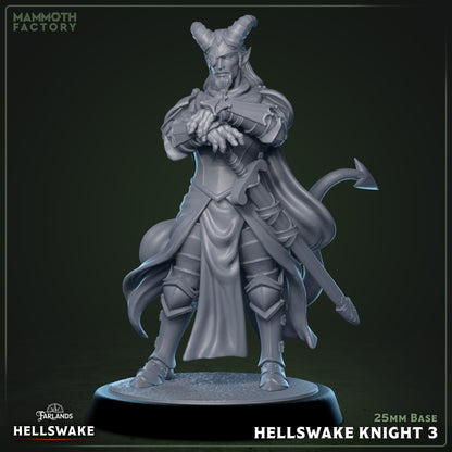 Hellswake Knight - Tiefling Fighter