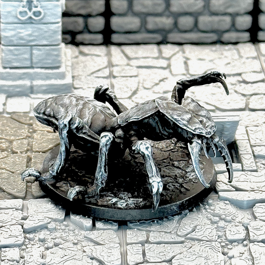 Ankheg by YKS