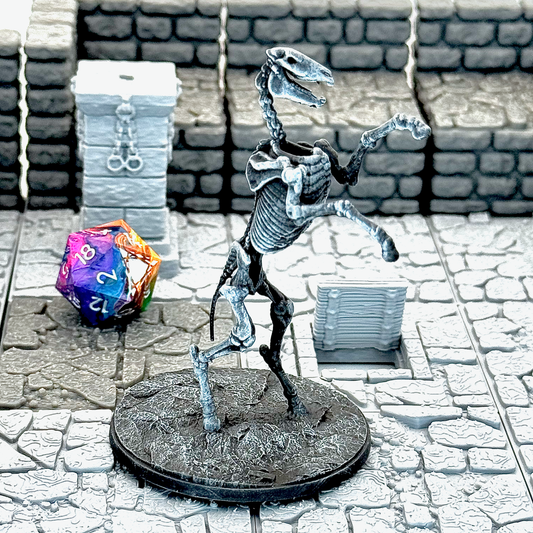 Skeleton Horse