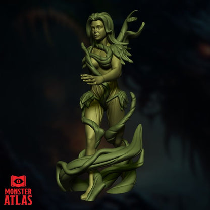 Dryad