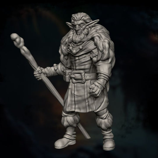 Firbolg Druid