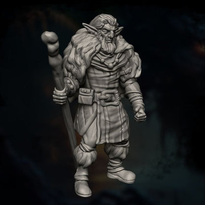 Firbolg Druid