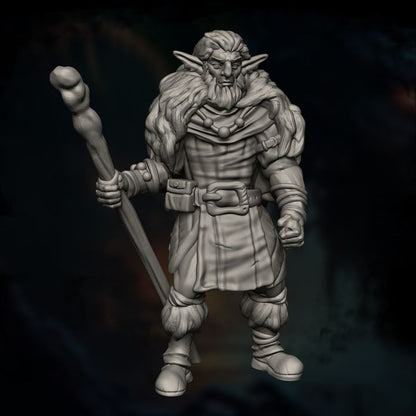Firbolg Druid