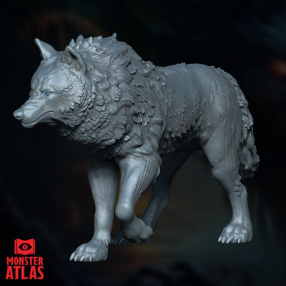Winter Wolf