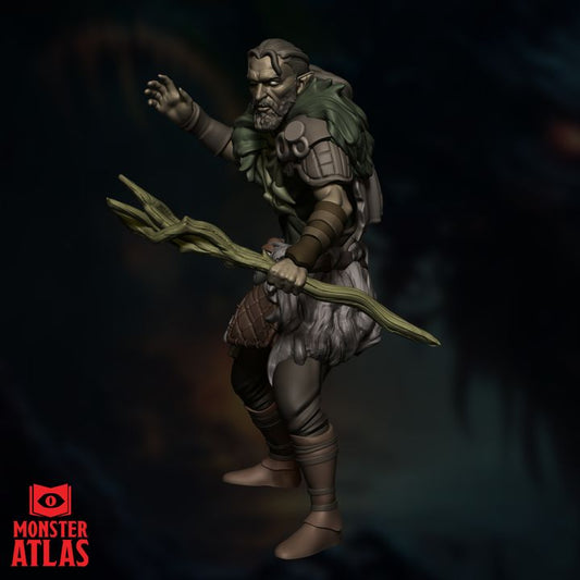 Wood Elf Druid