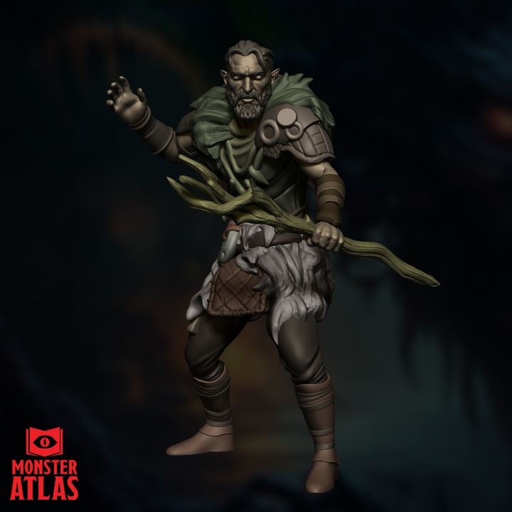 Wood Elf Druid