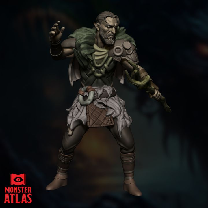 Wood Elf Druid