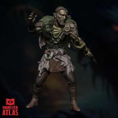 Wood Elf Druid