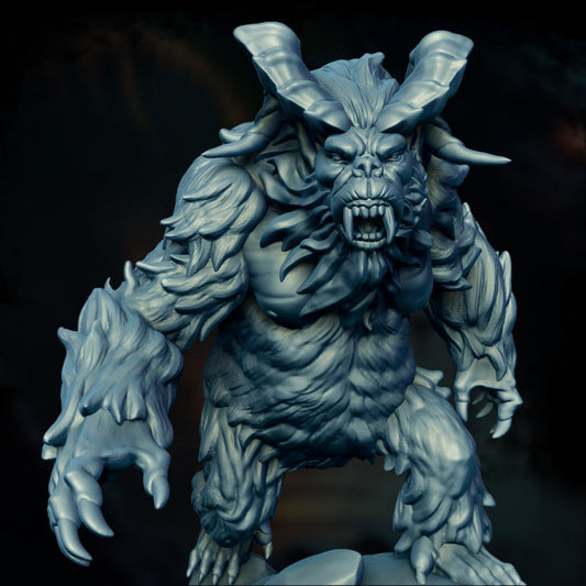 Yeti