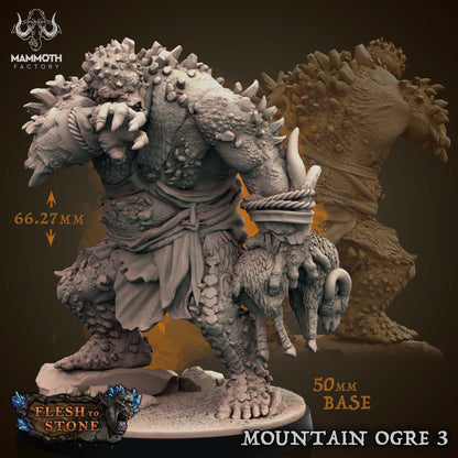 Flesh to Stone Collection - The Hoard of Ghaundal: Chapter 3