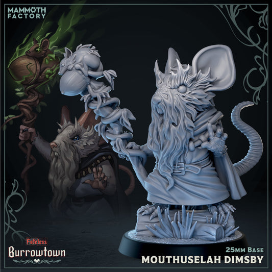 Mouthuselah Dimsby - Mousekin / Mousefolk