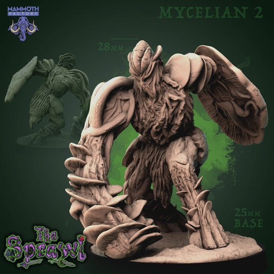Mycelian - Myconid Warriors