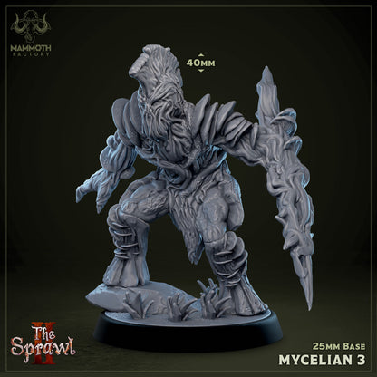 Mycelian Warriors - Myconid