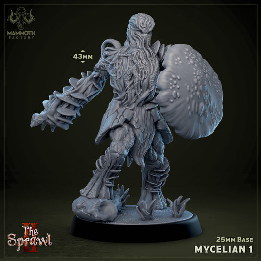 Mycelian Warriors - Myconid