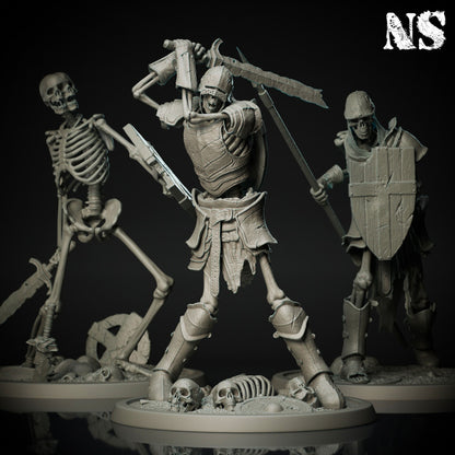 BUNDLE! Skeleton Warriors