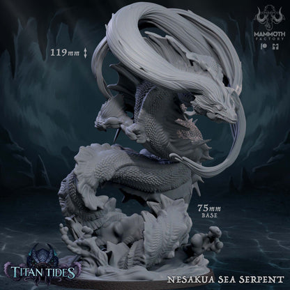 Titan Tides Collection