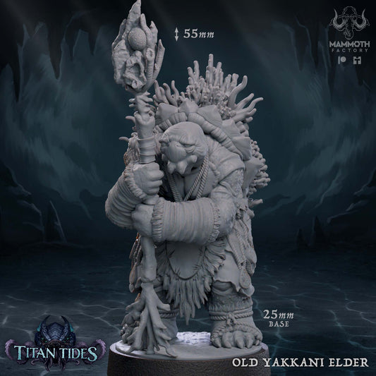 Old Yakkani Elder (Tortle)