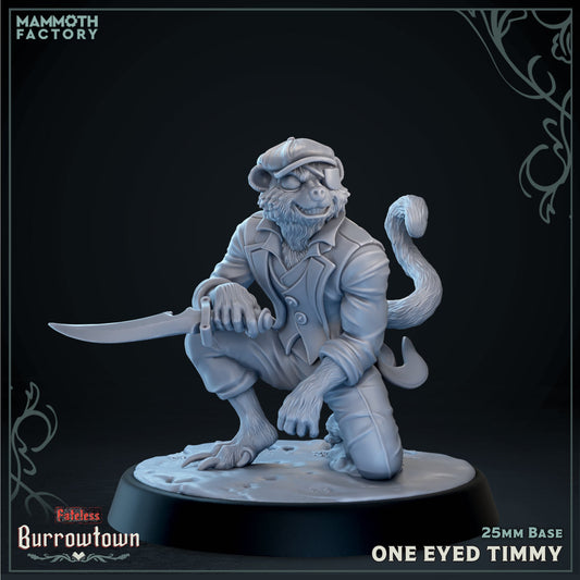 One Eyed Timmy - Weaselfolk Rogue