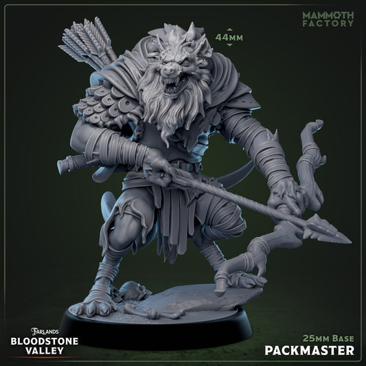 Gnoll Packmaster