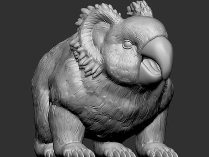 Parrotbear