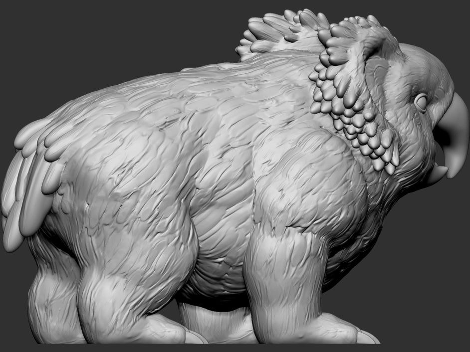 Parrotbear