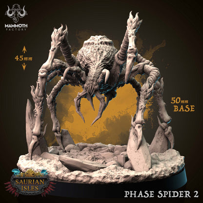 Phase Spider Bundle